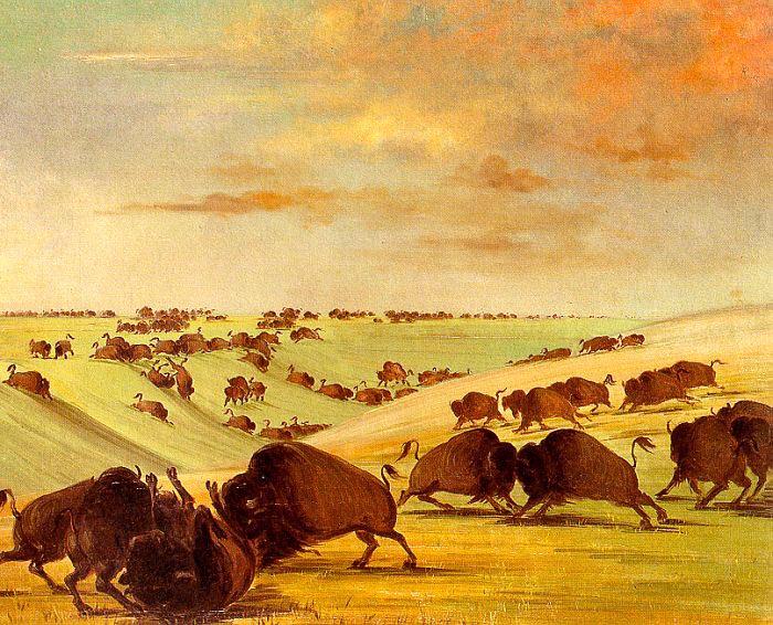 George Catlin Buffalo Bulls Fighting in Running Season-Upper Missouri